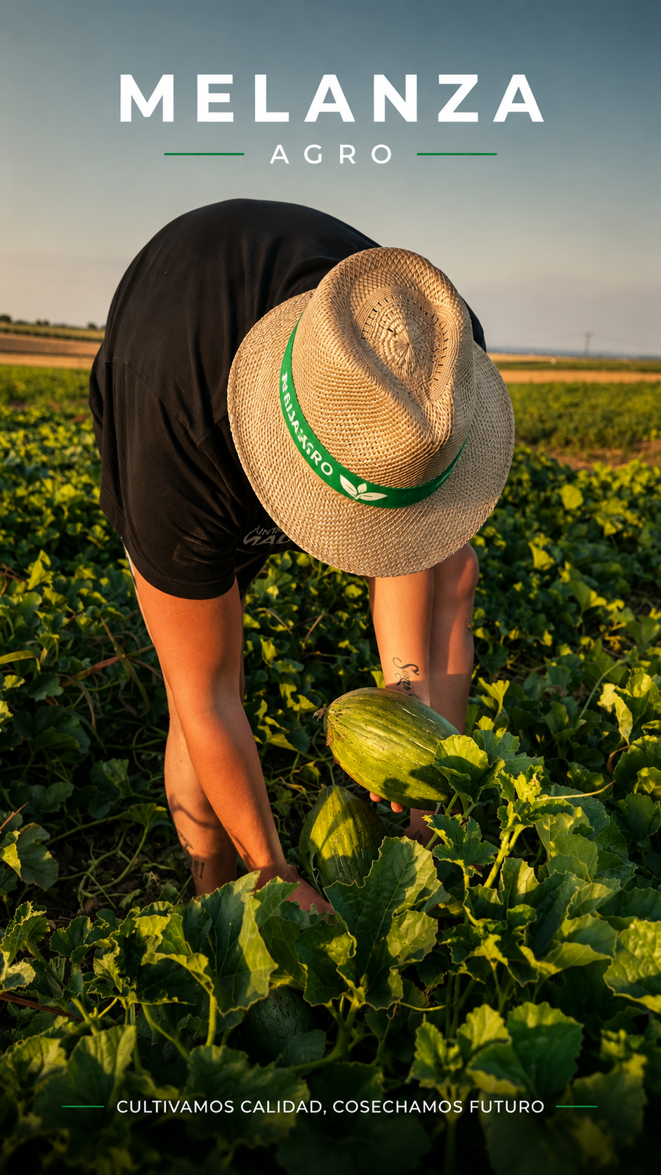 Trabajo agrícola en MELANZA AGRO